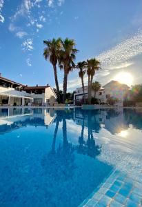 卡兰博希Nuramar Resort & Villas的一座棕榈树环绕的大型游泳池