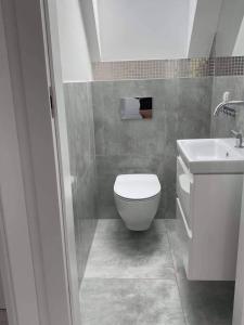 拜罗格拉Bosman Domki的浴室配有白色卫生间和盥洗盆。