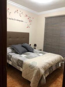 大加那利岛拉斯帕尔马斯LAS CANTERAS的一间卧室设有一张床,墙上设有鲜花窗户。