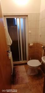豪伊杜索博斯洛Vida vendégház的浴室配有卫生间、盥洗盆和淋浴。