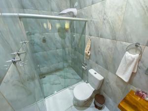 库尼亚POUSADA ESTÂNCIA DAS CACHOEIRAS的一间带玻璃淋浴和卫生间的浴室