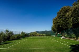 基安蒂格雷夫La Pietra Del Cabreo的绿色田野上的网球场