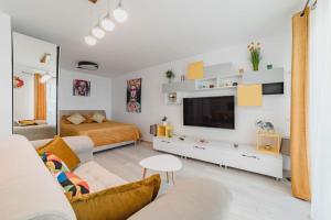 布拉索夫Stylish Masterpiece Studio-Parking, Wi-Fi, Netflix的带沙发、电视和床的客厅