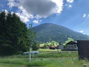 普夫龙滕Landhaus „Divija Haus“ Ferienwohnung的山地背景的田野