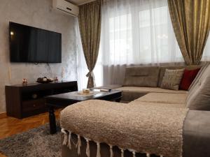 波德戈里察Apartment Mona的带沙发和平面电视的客厅