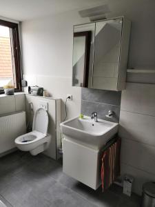 BobbauZu Hause auf Zeit bei Marion的白色的浴室设有卫生间和水槽。