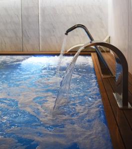 奥伦塞IMI Hotel & Spa的浴室里设有喷泉的游泳池