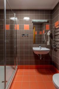 库尔迪加Comfort Hotel Kuldiga的一间带水槽和淋浴的浴室