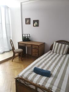 TenczynekSOSNOWA 23的一间卧室配有一张床、一张桌子和一把椅子