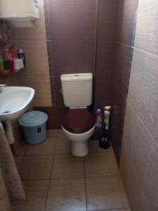 布尔加斯Viki的一间带卫生间和水槽的小浴室