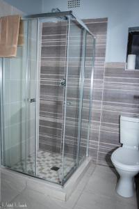 米德兰Waterfall View Lodge的设有带卫生间的浴室内的淋浴间