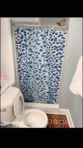 巴尔的摩EN SUITE NEXT TO FELLS POINT的浴室设有卫生间和蓝色的浴帘。