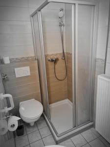 吕贝克Hotel Sankt Lorenz的带淋浴和卫生间的浴室