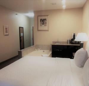 普利茅斯普利茅斯智选假日酒店 的酒店客房配有一张床和浴缸。