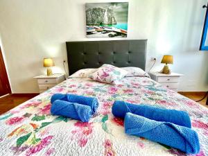 Caleta de CaballoEslanzarote Turtle House, Super wifi, Sea views的一间卧室配有一张大床和蓝色枕头