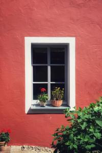 FrankenbergLittle Vintage的红墙上有三株盆栽植物的窗户