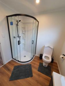 上哈特Modern 1 bedroom guest house的带淋浴、卫生间和垫子的浴室