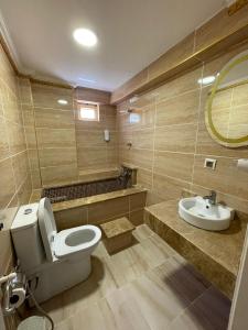 埃利特温泉EVİM APART HOTEL的一间带卫生间和水槽的浴室