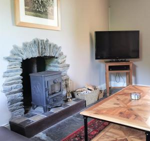 LlanfyrnachWellstone Cottages - Jasmine的客厅设有石制壁炉和电视
