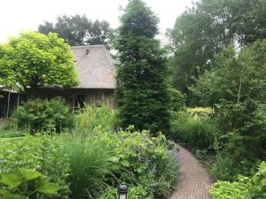 RoldeB&B. Het Hunebed Rolde的通往花园内房屋的路径