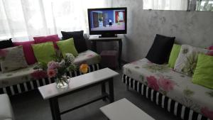 卢尔德帕耶巴斯酒店的客厅配有两张沙发和一台电视机