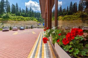 布克维Villa Victoria的一个带红色鲜花的阳台和停车场