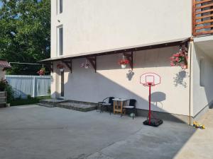 巴洛泰什蒂Luca's studio 3 ,Close to Therme Bucharest, Airport Otopeni的房屋一侧带篮球架的天井
