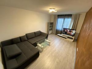 特尔古穆列什Concept Apartments 3 Camere的带沙发和电视的客厅