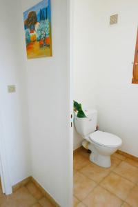 弗雷瑞斯Chambre d hôtes de la Louve的一间带卫生间的浴室和墙上的照片