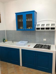 利帕里Il Cortiletto - Lipari CENTRO的厨房配有蓝色橱柜和炉灶烤箱。