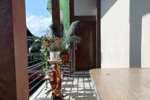 安汶Almira Homestay Ambon Mitra RedDoorz的建筑里种植了盆栽植物的阳台
