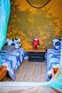 Guernsey Nature ReserveShik Shack Backpackers的客房设有两张床和一张红灯桌子。