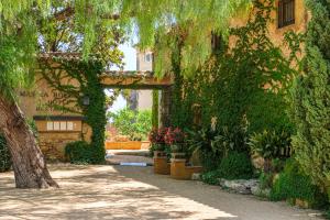拉卡农加马斯拉博埃亚酒店的常春藤覆盖的植物和树
