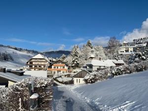 冬天的Haus am Sonnenberg,Todtnauberg, Ferienwohnung 002, direkt am Skilift-Skipiste, Nähe Feldberg