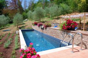 圣焦万尼瓦尔达尔诺Il Nido di Margherita的鲜花庭院中的游泳池