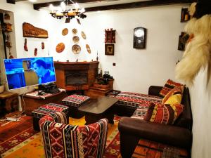 普雷德鲁特Casa Veveritelor的带沙发和电视的客厅
