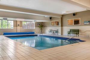 圣约翰阿姆斯特丹奎斯皮斯米斯品质套房酒店 的游泳池位于酒店带大型游泳池的客房