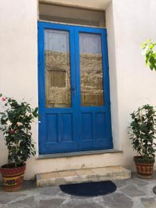 利帕里Il Cortiletto - Lipari CENTRO的两棵盆栽植物的房子上的一扇蓝色门