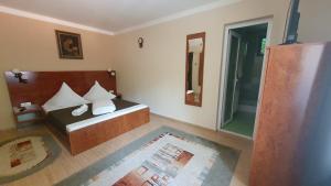 巴亚马雷Complex Turistic Caprioara的一间卧室设有一张床和一个玻璃淋浴间