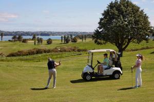 奥克兰Rydges Formosa Auckland Golf Resort的一群人用高尔夫球车打高尔夫