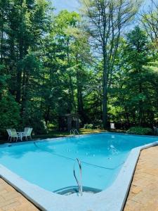 威廉斯敦Stay Berkshires的一个种有树木的大型蓝色游泳池