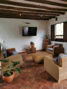 巴里查拉Las Cabezas Grises的客厅配有藤椅和平面电视