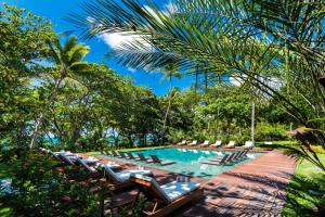 普拉亚多提沃利爱克雷索特普拉亚酒店的一个带躺椅和树木的游泳池