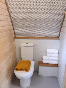 马汉莱斯Tan-y-Dderwen Pod的一间带卫生间和一堆毛巾的浴室