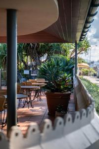 拜伦湾海滩度假酒店的一个带桌椅和盆栽的庭院