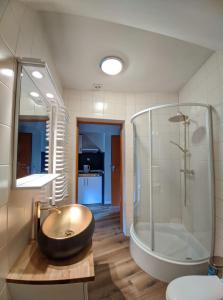 普热谢卡Villa Idylla的一间带大水槽和浴缸的浴室