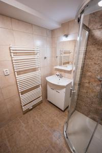 KyčeraApartmány Mezivodí的一间带水槽和淋浴的浴室