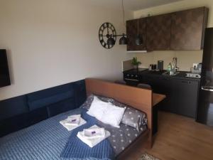 比亚韦斯托克Apartament Centrum Bocian的小房间设有床和厨房