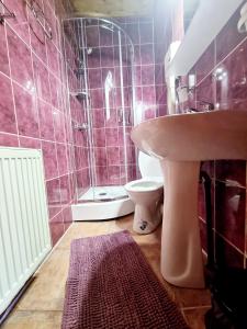 普雷代亚尔Pensiunea Don Sergio的一间带水槽、卫生间和淋浴的浴室