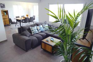 柳奇马约尔Villa Bella Vista的带沙发和植物的客厅